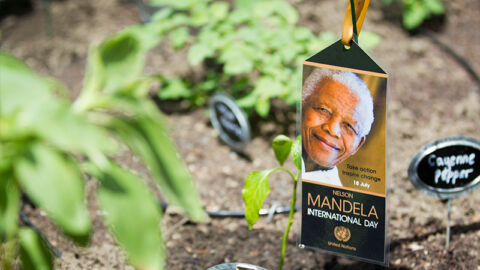 mandela-international-day