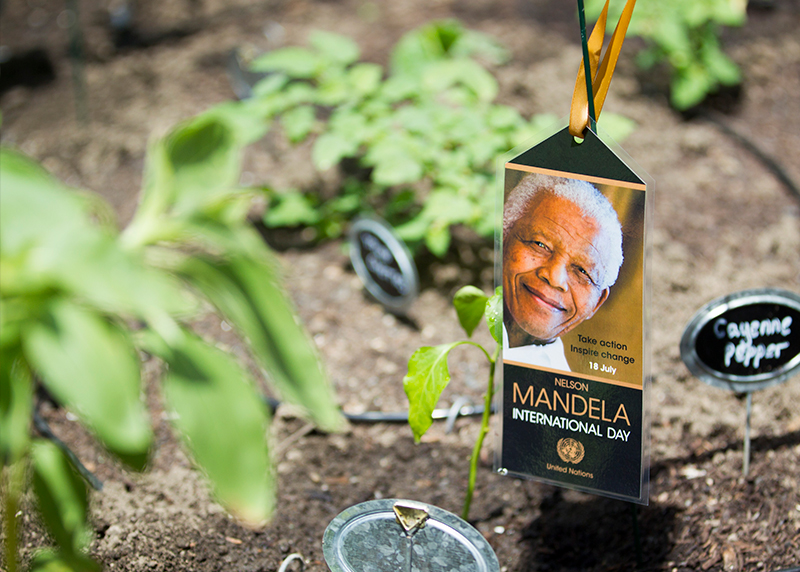 mandela-international-day